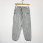Rails Light Green Sage Tencel Cotton Twill Relaxed Joggers Pull On Haven Pants Photo 3