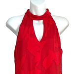 Waverly Grey Halter Keyhole Floral Chiffon Red Mini Dress Medium Photo 12