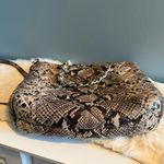 Kate Spade  Gold Coast Maryanne Snakeprint Quilted Leather Shoulder Bag Photo 5