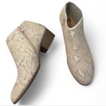 SO Snake‎ Print Booties Photo 0