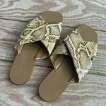 Everlane  the day leather crossover sandal size 7 Photo 0