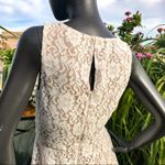 BCBGMAXAZRIA  lace skater dress Photo 2