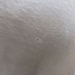 Song of Style Marta Dress in Champagne XS Tan Photo 6