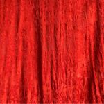 Free People  Vintage Women’s Red Stella Jacquard Blazer‎ Size Small Photo 2