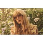 Zimmermann 💕💕 Amelie Butterfly Sunglasses ~ Nude Acetate 100% UV Protection NWT Photo 5