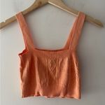 Bluesteel Peachy Pink Knit Crop Top Size M Photo 3