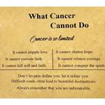 Inspirational Beaded Cancer Survivor Breast Unisex Gift bracelet Purple Crystal Photo 1