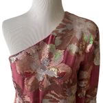 Sabina Musayev Juliette Sequined Velvet Dress in Multi Pink Size Medium Photo 3