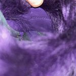 Burberry  Heeled Purple Slip on Fuzzy Sandal On Leather Sole(Size 37) Photo 4