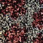 Hot & Delicious Confetti Sequins Pink Silver Dress Size Large Photo 6