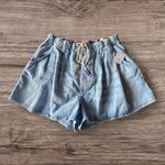 Free People #58 NWT Clark Pleated Denim Shorts in Beach Stoned Blue Photo 5