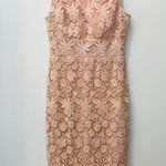 Bisou Bisou Blush Pink Lace dress size 8. Photo 2