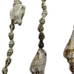 Shell Necklaces (Set of 3) Tan Photo 7