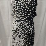 White House | Black Market W's Black/White Dress/Knee Length Size6 SKU 3121 Photo 0