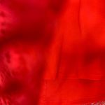 Torrid Lace Skirt Size 2 Nylon With Spandex Skirt Photo 4