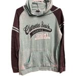 Avalon Apparel Clearwater Beach Florida Lightweight Mint Green Grey Hoodie L Size L Photo 7