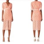 Revolve RTR The East Order Peaches Midi Dress size XS Photo 2