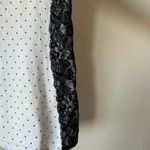 The Limited NWT  Large White Polka Dot Butterfly Lace Contrast Trim Sweater Top Photo 2