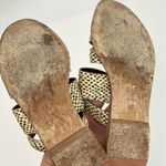 Diane Von Furstenberg Diane Von Furstenburg Polka Dot Cross Strap Slides Black Cream Size 8.5 Photo 8