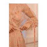 Anthropologie  heart robe and slip Photo 3