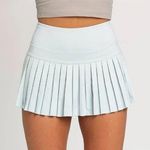 Gold Hinge  Skirt Photo 1