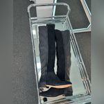 Alexandre Birman  Boots Photo 1