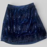 Skies Are Blue  New Navy Sequin Holiday  Velvet Skirt preppy old money small Photo 0