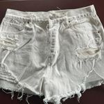 PacSun Vintage High Waisted Shorts Photo 0