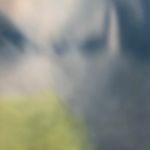 Aviator Nation Sweatpants Photo 2