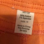 BlueAsphalt Burnt Orange Shorts Photo 5