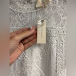 NWT Ella Mara Anthropologie Ivory Cotton Blend Lace Short Sleeve Top Size Small Photo 1