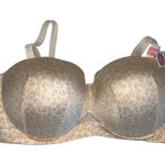 Lane Bryant Cacique  Comfort Bliss Lightly Lined Convertible Strapless Bra 42DDD Photo 0