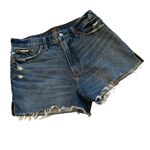 Abercrombie & Fitch NWT, Annie High Rise Distressed Short, Sz 29/8 Photo 6