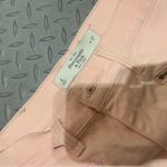 Abercrombie & Fitch - Baby pink high waisted Abercrombie hot shorts zipper spring classic casual Photo 3
