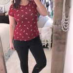 belle du jour  top Photo 1