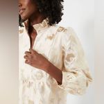 Tuckernuck Palmerston Dress M Champagne Gold Fil Coupé Midi Occasion NWT Size M Photo 2