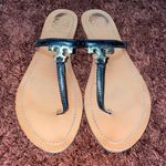 Tory Burch Sandals Photo 0