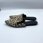 Jenni Kayne Calf Hair Cheetah Mules Size 6.5 EU 37.5 Pointed Toe Animal Print Photo 4