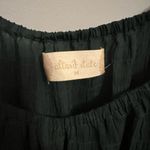 Altar'd State Altr’d State Evergreen Baby Doll Long Sleeve Dress Size M Photo 2