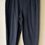 Eileen Fisher Stretch Jersey Knit Slouchy Pant in Black Size 1X Photo 0