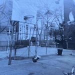 Nike Air Basketball Court Air Force 1 White Graphic T-shirt Photo 2