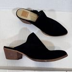 Dolce Vita Black Suede Leather Slip On Mule Heels Womens 7.5 Fall Classic Shoes Photo 7