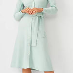Ann Taylor Mint Green Midi Dress Size XS Photo 0