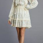 Anthropologie  Lace Tunic Tiered Dress Photo 0