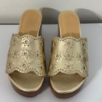 Jack Rogers Rory Floral Gold Platinum Wedge Sandals Size 8 Photo 0
