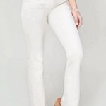 Spartina 449  Women’s Pants Size 4 Boot Cut Ivory Stretch Photo 0