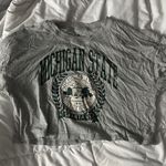 Michigan State Spartans Gray Crop Top Photo 0