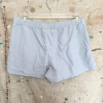 Patagonia Barely Baggies Shorts 2½" Photo 2