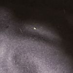 Glenover Vintage Navy Blue Cloche Hat 100% Wool Ribbon Bow Henry Pollack 40's Photo 6