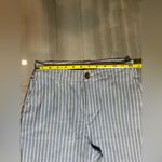 J.Crew Tan and Blue Striped Chinos Photo 4